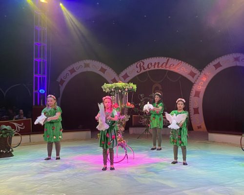 Zirkus (9) Taubendresseurinnen